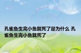 孔雀鱼生完小鱼就死了是为什么 孔雀鱼生完小鱼就死了 