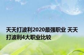 天天打波利2020最强职业 天天打波利4大职业比较 