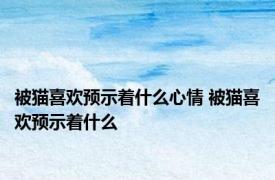 被猫喜欢预示着什么心情 被猫喜欢预示着什么 