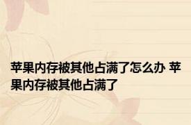 苹果内存被其他占满了怎么办 苹果内存被其他占满了 