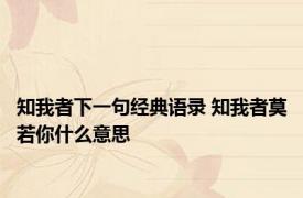 知我者下一句经典语录 知我者莫若你什么意思