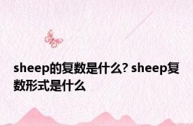 sheep的复数是什么? sheep复数形式是什么 