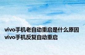 vivo手机老自动重启是什么原因 vivo手机反复自动重启 