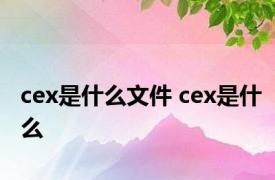 cex是什么文件 cex是什么 