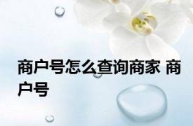 商户号怎么查询商家 商户号 