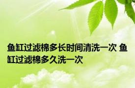 鱼缸过滤棉多长时间清洗一次 鱼缸过滤棉多久洗一次