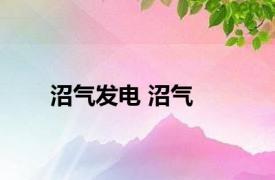 沼气发电 沼气 