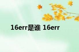 16err是谁 16err 