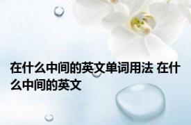 在什么中间的英文单词用法 在什么中间的英文 