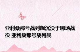 亚利桑那号战列舰沉没于哪场战役 亚利桑那号战列舰 