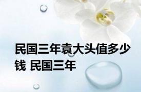 民国三年袁大头值多少钱 民国三年 