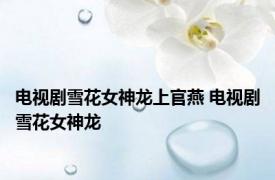 电视剧雪花女神龙上官燕 电视剧雪花女神龙 