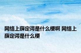 网络上薛定谔是什么梗啊 网络上薛定谔是什么梗