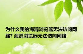 为什么我的海鹦浏览器无法访问网络? 海鹦浏览器无法访问网络 