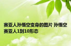 赛亚人孙悟空变身的图片 孙悟空赛亚人1到10形态 