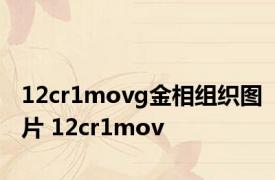 12cr1movg金相组织图片 12cr1mov 