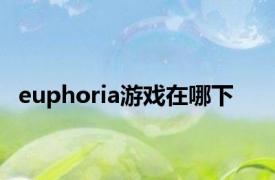 euphoria游戏在哪下