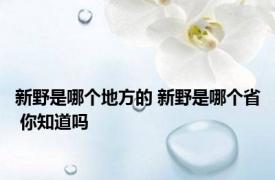 新野是哪个地方的 新野是哪个省 你知道吗