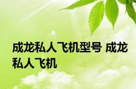 成龙私人飞机型号 成龙私人飞机 