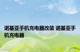 诺基亚手机充电器改装 诺基亚手机充电器 