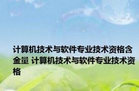 计算机技术与软件专业技术资格含金量 计算机技术与软件专业技术资格 