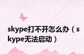 skype打不开怎么办（skype无法启动）