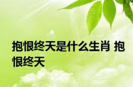 抱恨终天是什么生肖 抱恨终天 