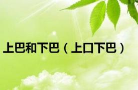 上巴和下巴（上口下巴）