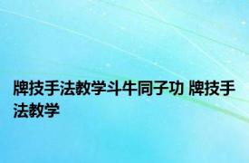 牌技手法教学斗牛同子功 牌技手法教学 