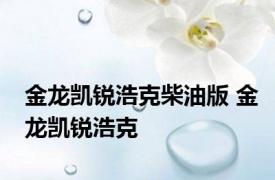 金龙凯锐浩克柴油版 金龙凯锐浩克 