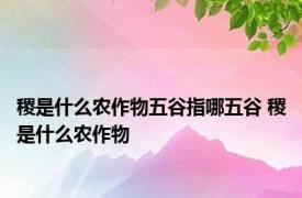 稷是什么农作物五谷指哪五谷 稷是什么农作物