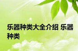 乐器种类大全介绍 乐器种类 