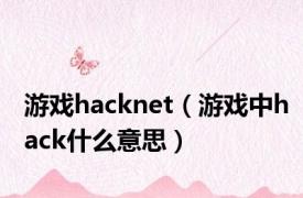 游戏hacknet（游戏中hack什么意思）