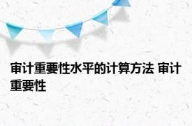 审计重要性水平的计算方法 审计重要性 