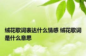 绒花歌词表达什么情感 绒花歌词是什么意思 