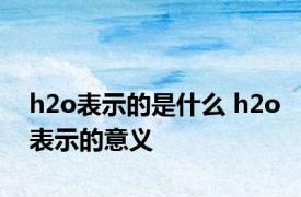 h2o表示的是什么 h2o表示的意义