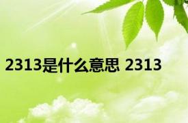 2313是什么意思 2313 