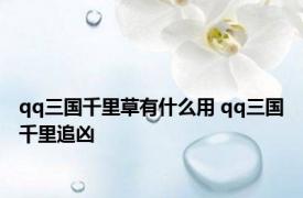 qq三国千里草有什么用 qq三国千里追凶 