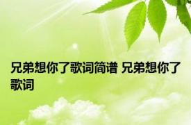 兄弟想你了歌词简谱 兄弟想你了歌词 