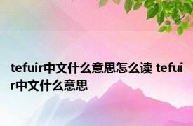 tefuir中文什么意思怎么读 tefuir中文什么意思