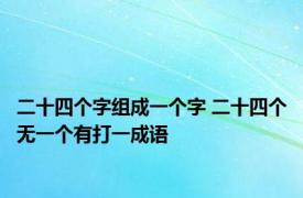 二十四个字组成一个字 二十四个无一个有打一成语