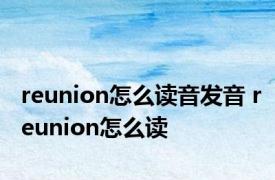 reunion怎么读音发音 reunion怎么读 