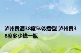 泸州贡酒38度5v浓香型 泸州贡38度多少钱一瓶 