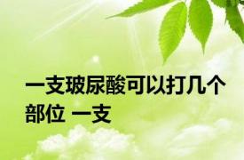 一支玻尿酸可以打几个部位 一支 