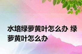 水培绿萝黄叶怎么办 绿萝黄叶怎么办