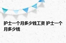 护士一个月多少钱工资 护士一个月多少钱 