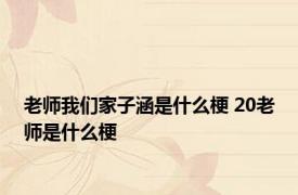 老师我们家子涵是什么梗 20老师是什么梗 