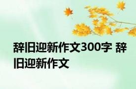 辞旧迎新作文300字 辞旧迎新作文 