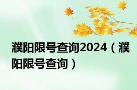 濮阳限号查询2024（濮阳限号查询）