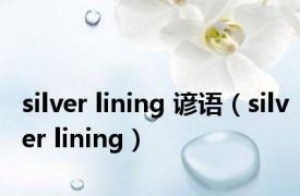 silver lining 谚语（silver lining）